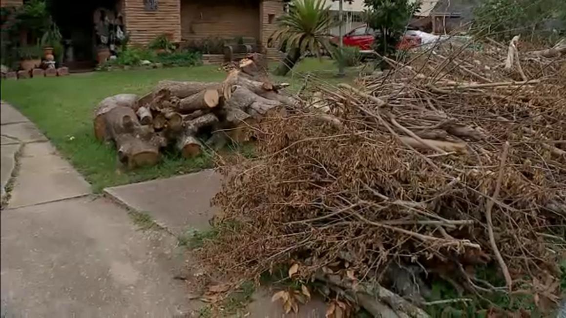 Bà con Houston khốn khổ vì cây cối đổ nát sau bão Beryl, 10 tháng trôi qua vẫn chưa xong