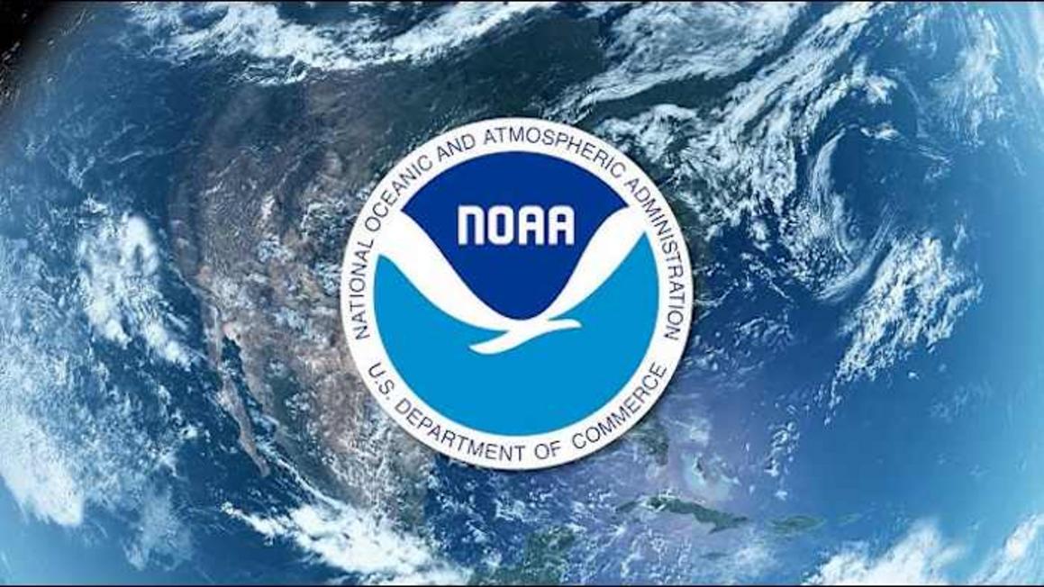 Cắt giảm nhân sự tại NOAA: Ảnh hưởng tới hệ sinh thái biển Flower Garden Banks?