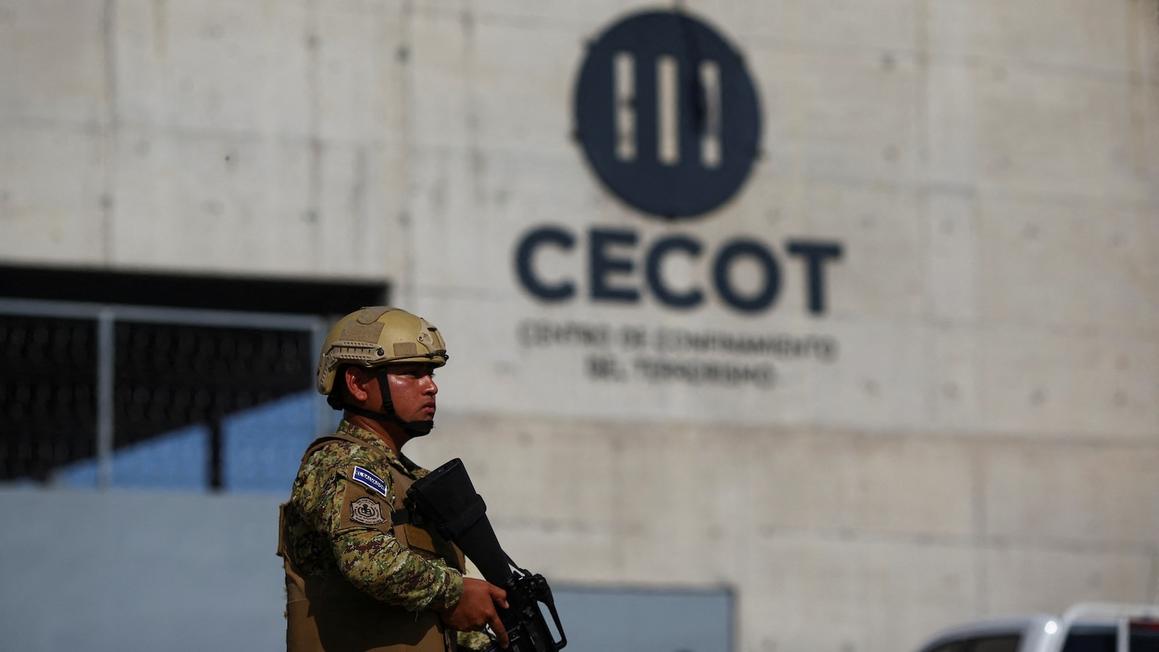 cecot 2 rt gmh