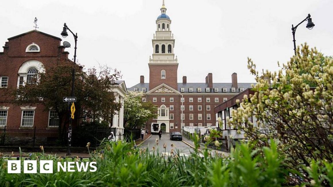 Harvard Kiện Chính Quyền Tổng Thống Trump Vụ Chặn Tuyển Sinh Sinh Viên Quốc Tế