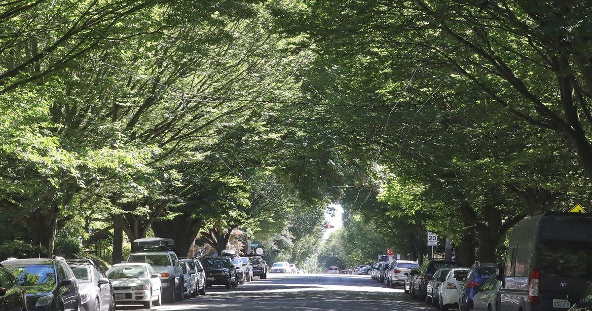 Cây xanh và nhà ở mật độ vừa? Seattle có thể có cả hai.