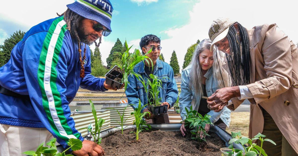 Seattle Sẽ Có Vườn Chữa Lành Tại Công Viên Tưởng Niệm MLK
