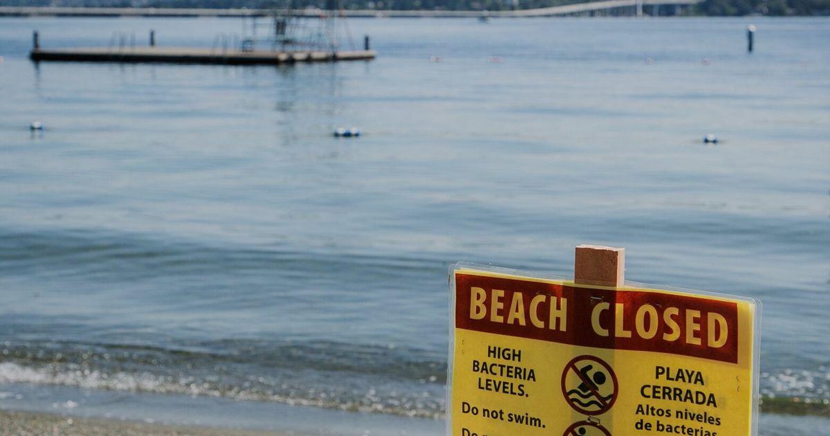 Nhiều bãi biển Seattle đóng cửa vì mức vi khuẩn và tảo cao