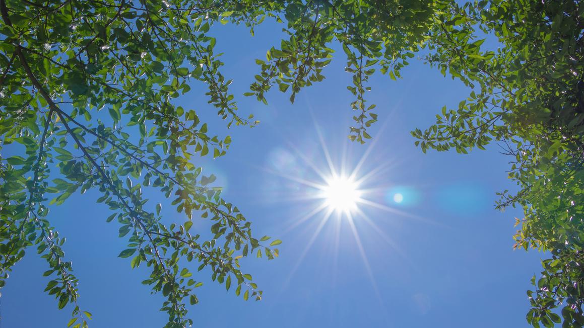 16773169 061725 cc adobe summer sun img
