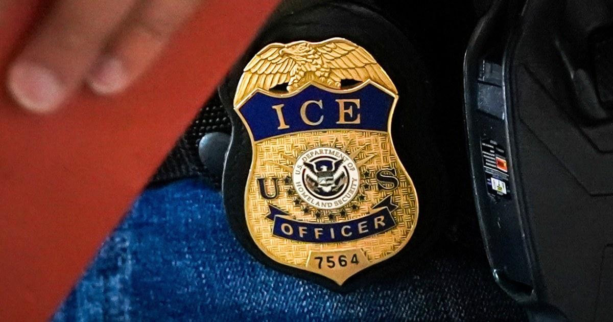 VIDEO: ICE Bắt Giữ Người Afghanistan Khai Giúp Quân Đội Hoa Kỳ Tại San Diego