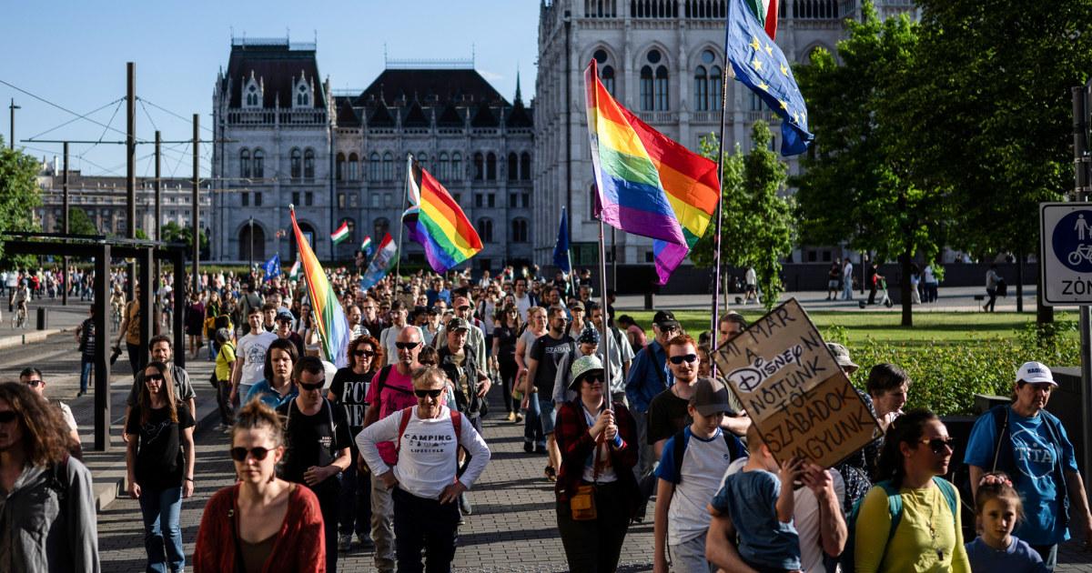 Nhiều quốc gia ủng hộ tuần hành LGBTQ ở Hungary, trừ Hoa Kỳ