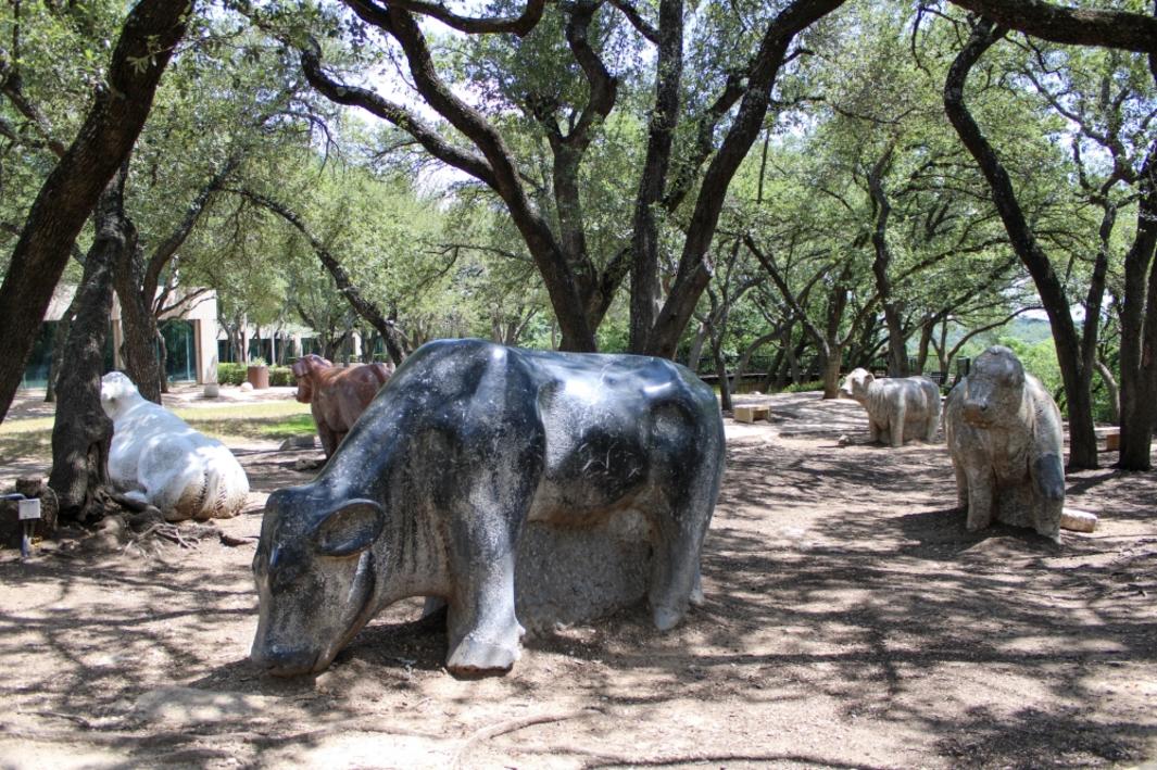 The Arboretum kỷ niệm 40 năm xây dựng cộng đồng ở Tây Bắc Austin
