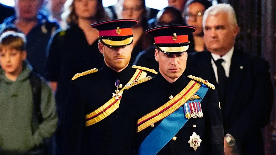 Resentment of Prince Harry Growing as Prince William Stays Silent: Expert