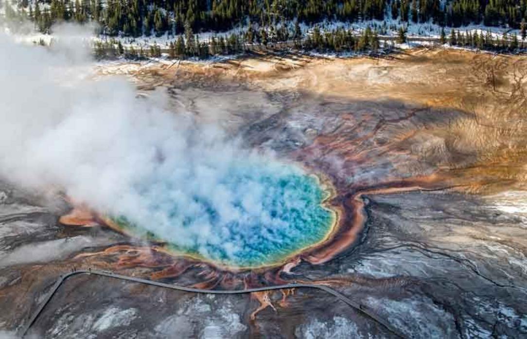 Du khách chứng kiến cảnh bò rừng bison rơi xuống suối nước nóng Yellowstone và chết