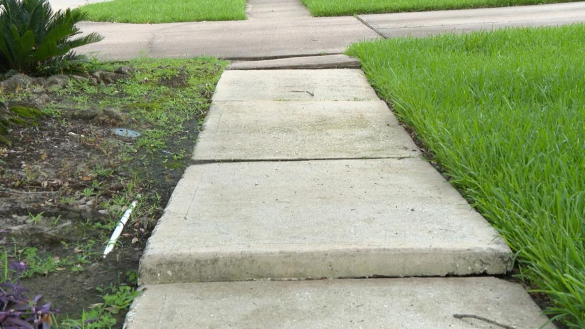 Người dân ở tây bắc Harris County cho biết vỉa hè bị hư hại do cây, gây nguy hiểm