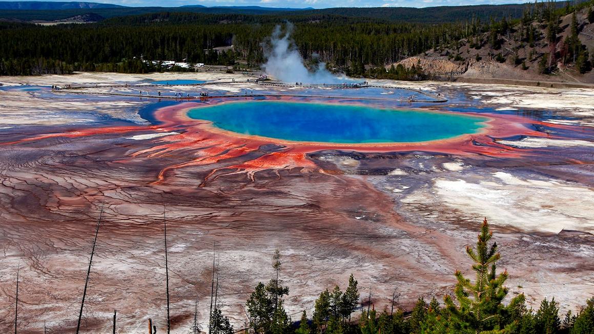 Du khách kinh hoàng chứng kiến bò rừng chết vì bị luộc chín trong suối nước nóng ở Yellowstone