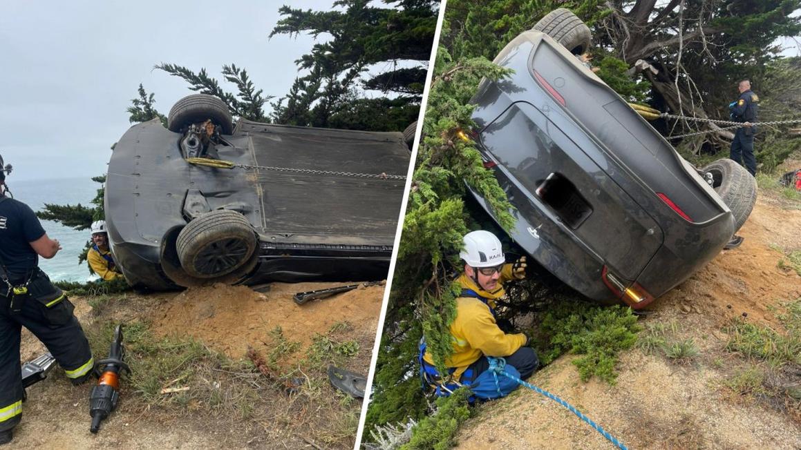 Cây Cứu Tài Xế Thoát Khỏi Vách Đá Cao Hơn 200 Foot Tại San Mateo County