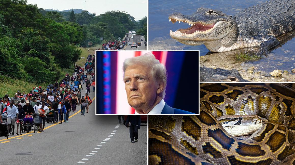 Tổng thống Trump sẽ khánh thành trung tâm giam giữ “Alligator Alcatraz” ở Everglades
