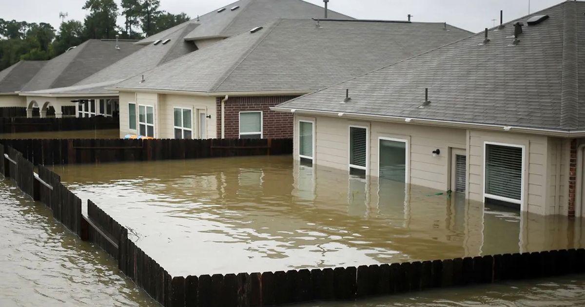 tzr flood