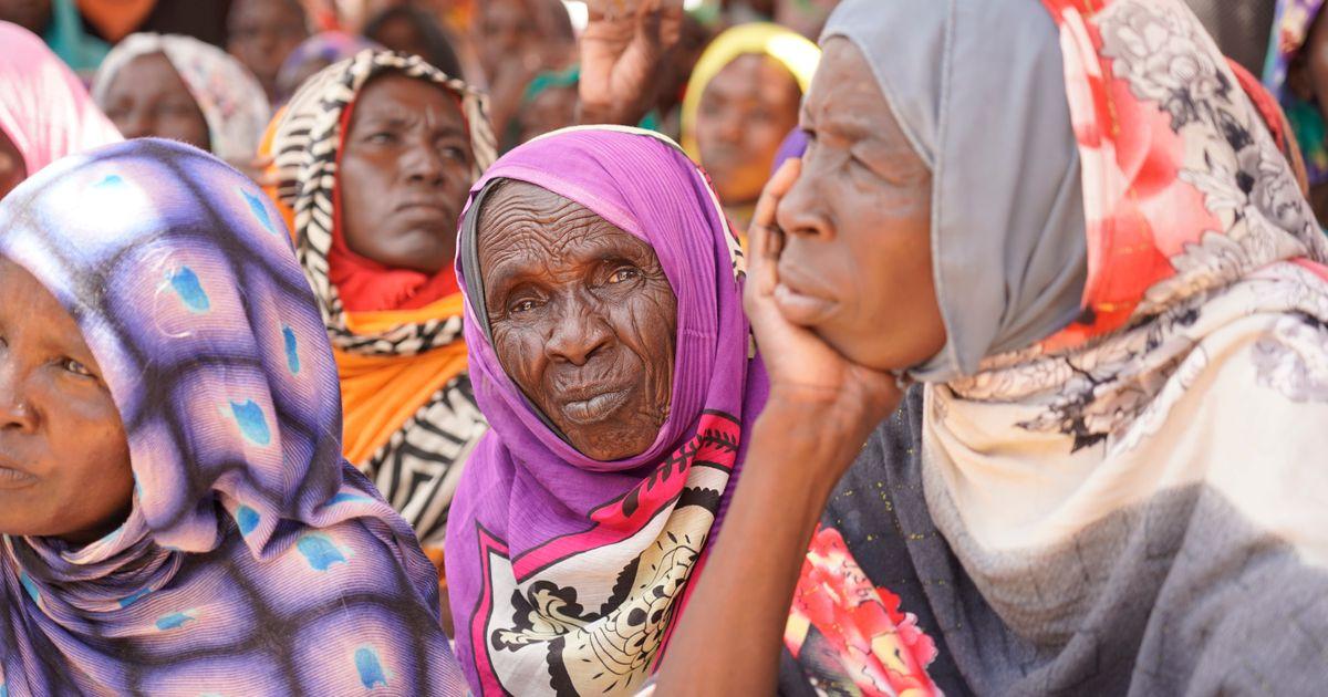 Bị đẩy đến bờ vực đói khát, người dân Sudan ăn cỏ cây để sống sót giữa cuộc chiến