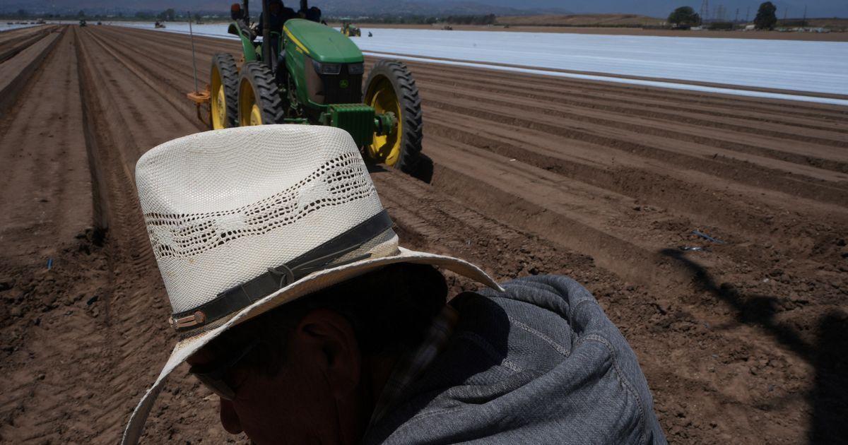 urnpublicidap.orgaa451dc90dda76004fdc5636b21bde97Immigration California Farms 17512