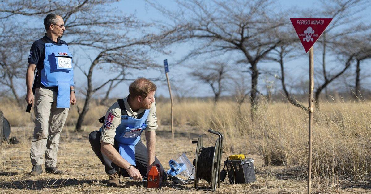 07162025 Prince Harry and land mine TZR tzr 074825