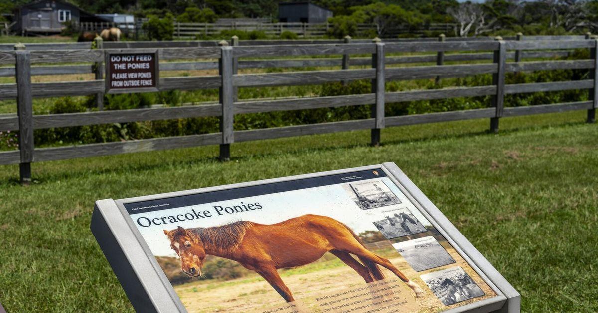 07222025 parksigns72225 tzr tzr 110842
