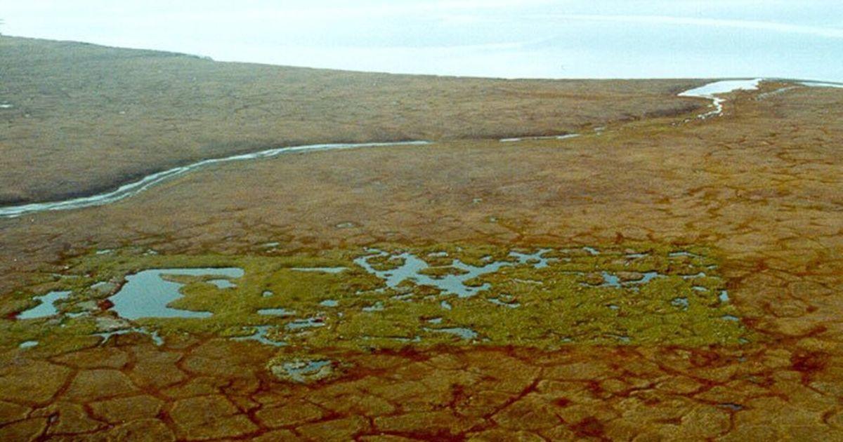 07312025 TZR Arctic National Wildlife Refuge 2017 t