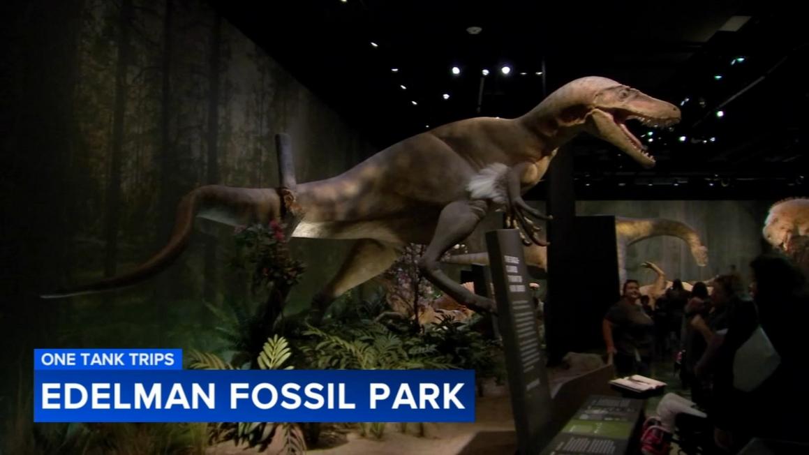 Khám phá Công viên và Bảo tàng Edelman Fossil mới khai trương ở New Jersey