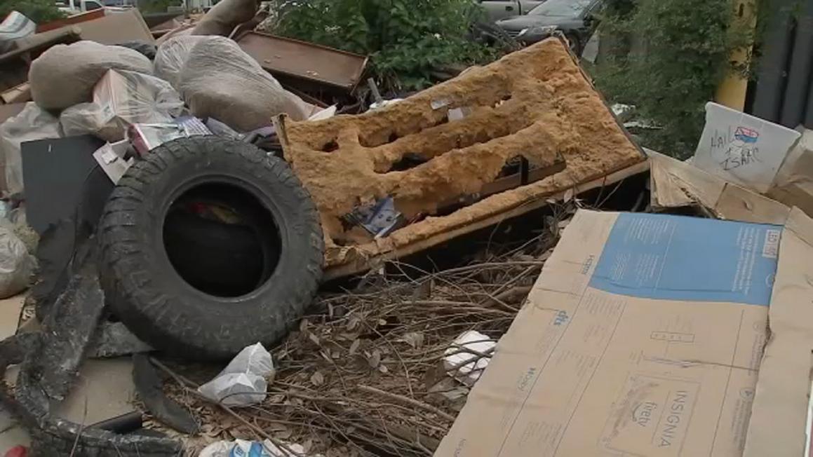 17169690 sal illegal dumping img