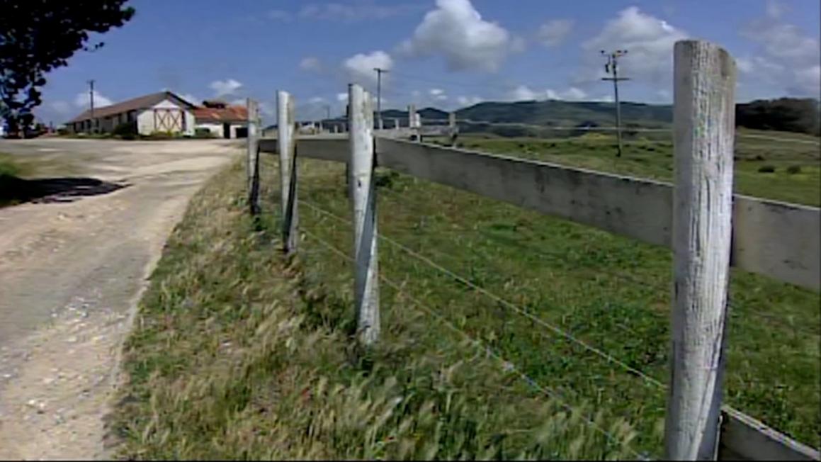 17263049 072325 kgo point reyes img