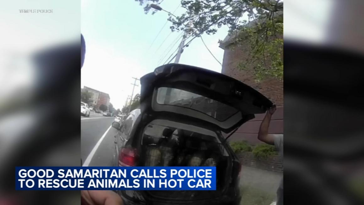 17382783 073125 wpvi dog rescued 430 CC vid