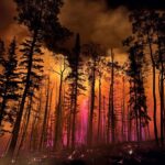 Mây khói từ cháy rừng ở Arizona và Utah tạo thời tiết bất thường