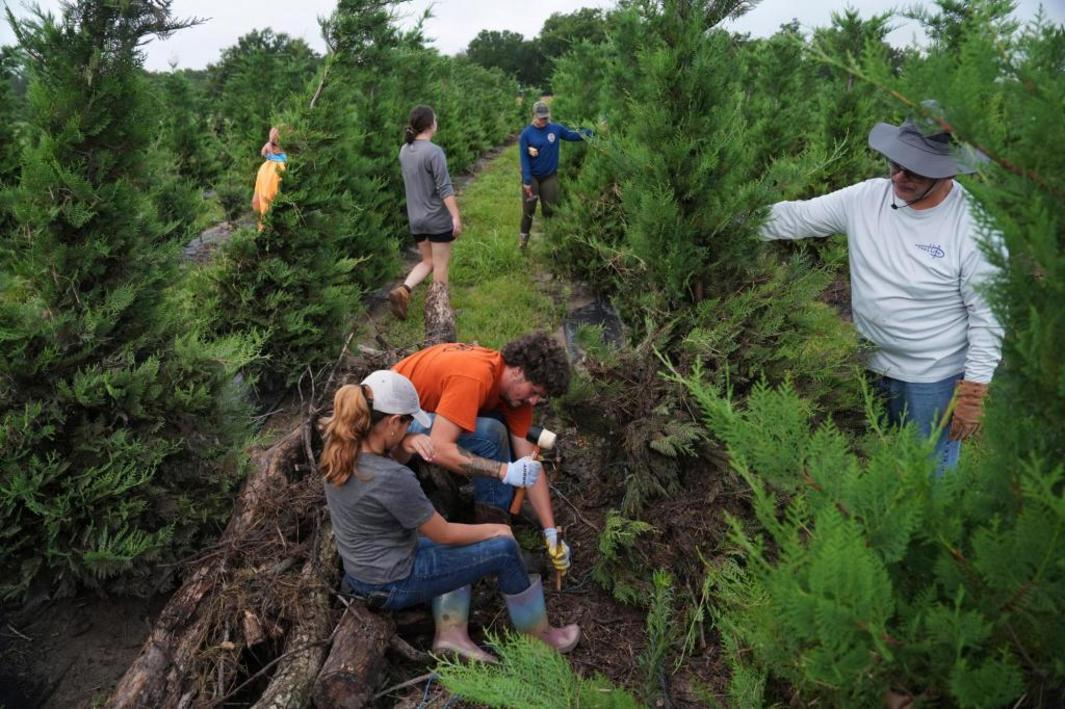 Climate Texas Floods Farmers 08135 1