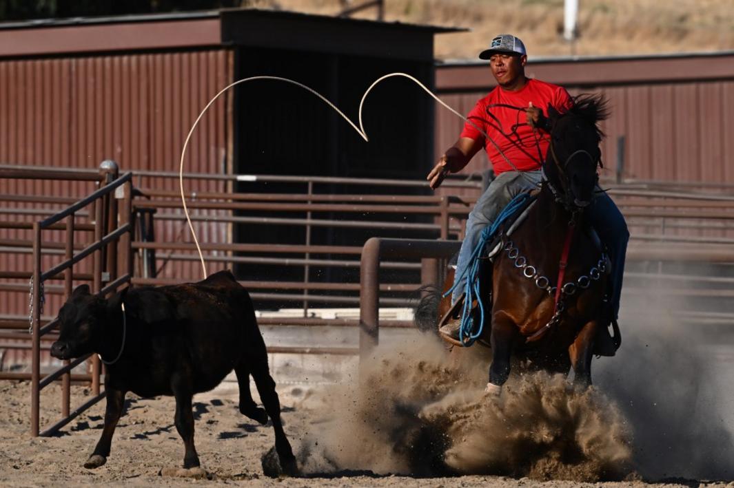 EBT L RODEO 0711 01