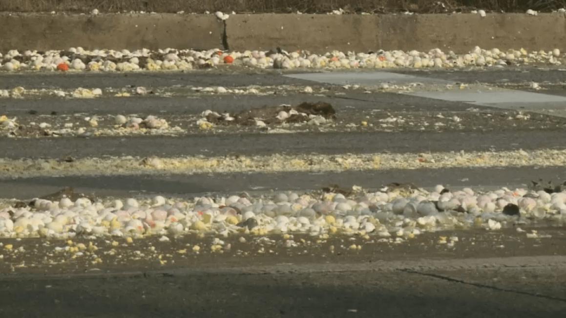 Eggs Spilled PA