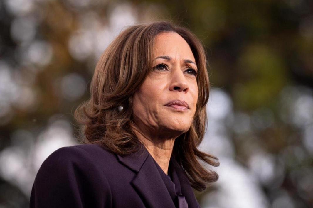 Election 2026 Governor Harris 73525