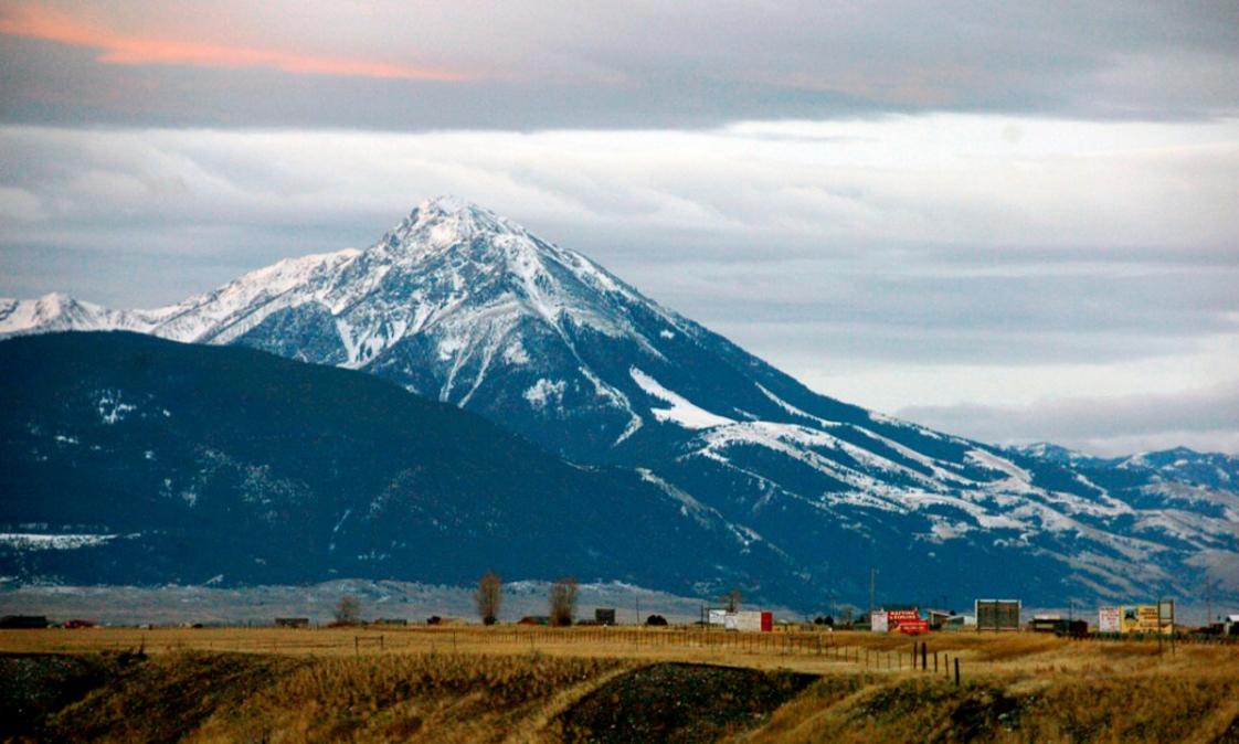 Hiker Killed Grizzly