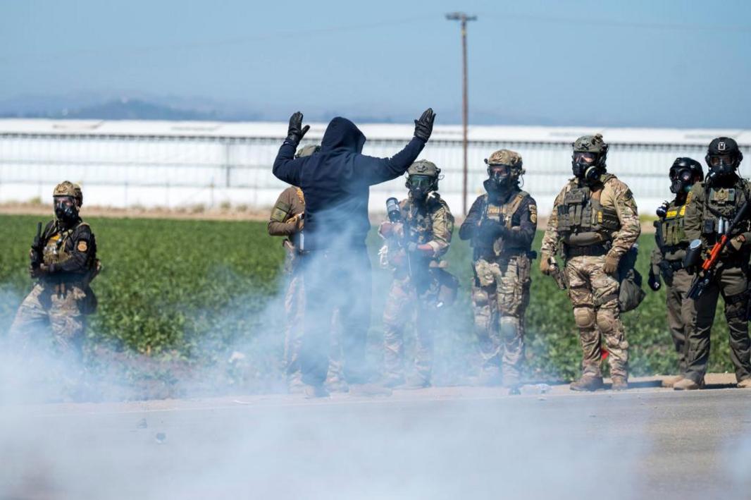 Marijuana Farm Raid 41803 1