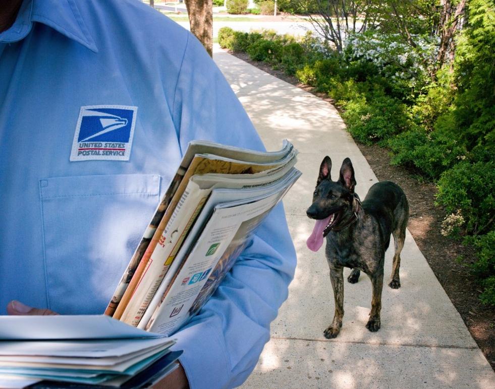 Bưu tá California: Ai thả chó ra?