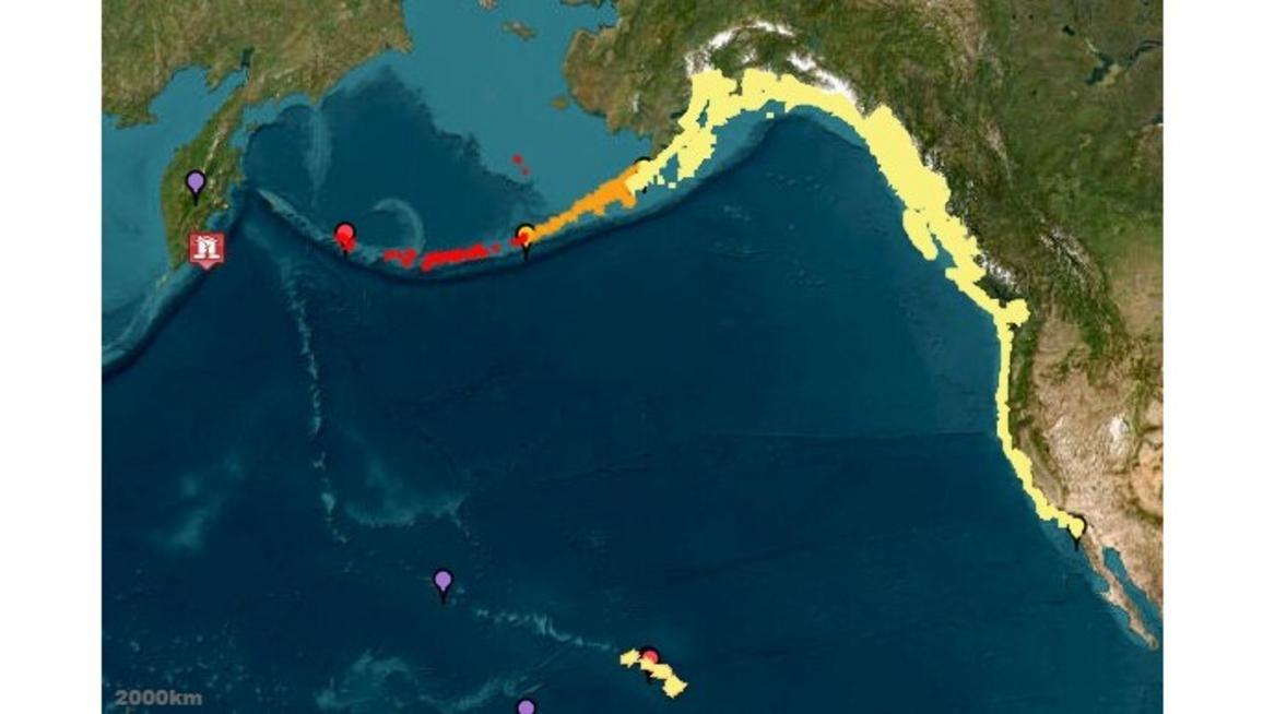 OCR Z TSUNAMI 0730 16x9 1 1
