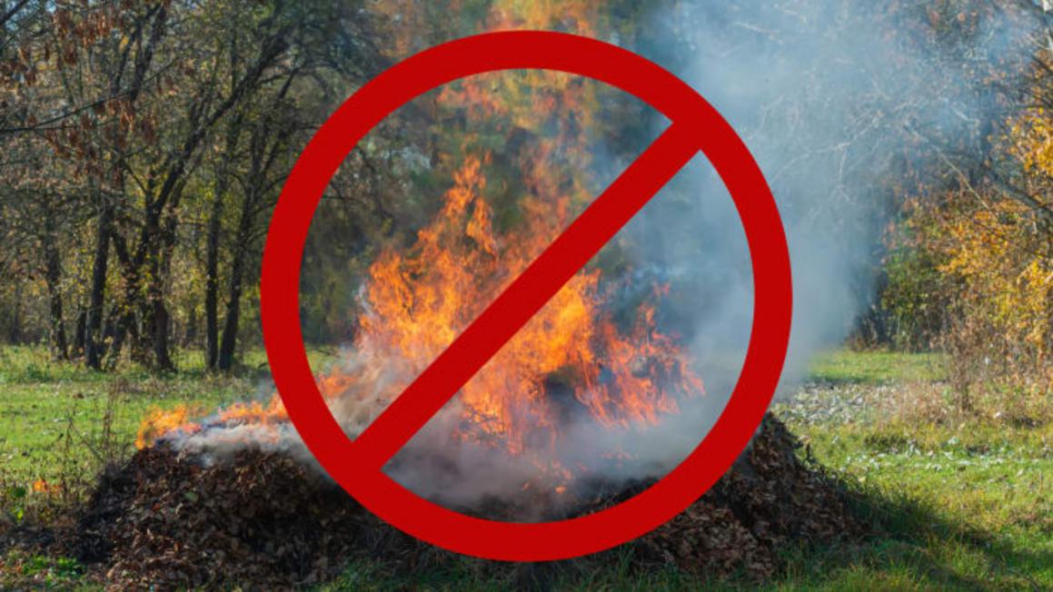 Kerr County ban đốt để tìm kiếm cứu nạn