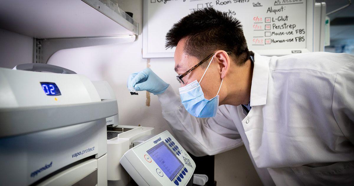 TZR Yapeng Su Fred Hutch