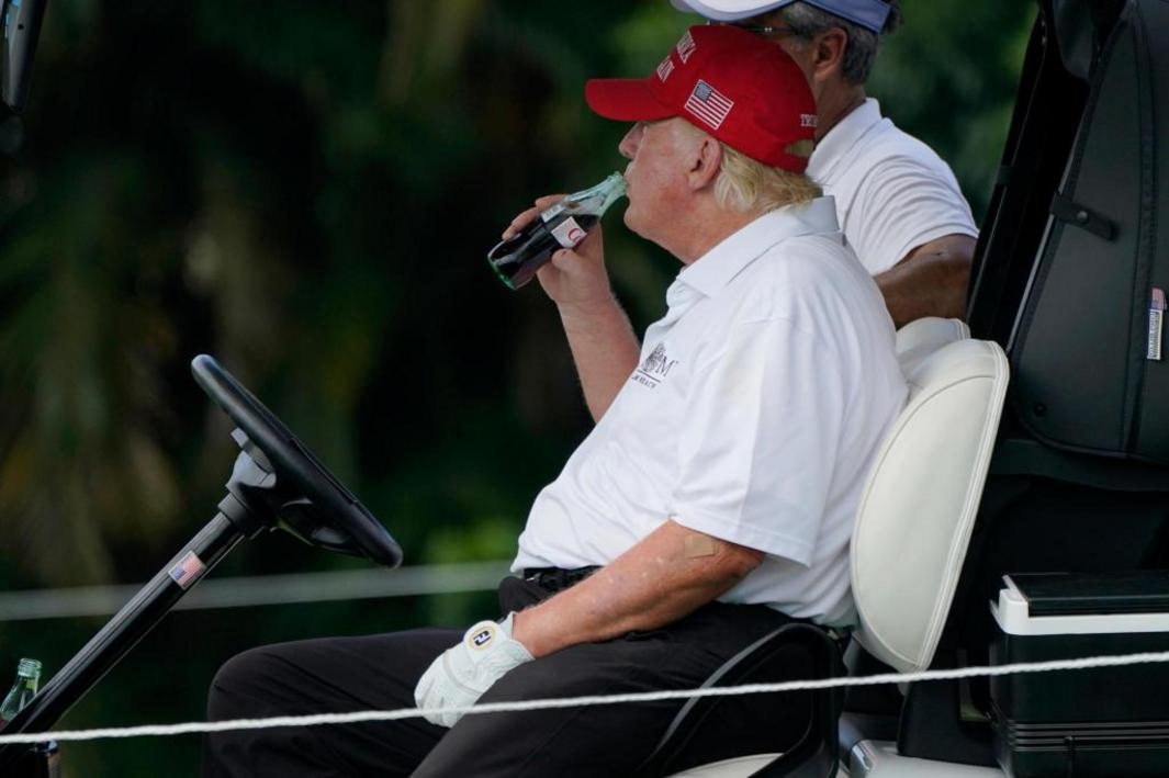 Trump Coca Cola 45329