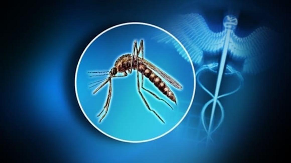 Phát hiện mẫu muỗi đầu tiên dương tính với Vi rút West Nile năm 2025 tại Fort Bend County