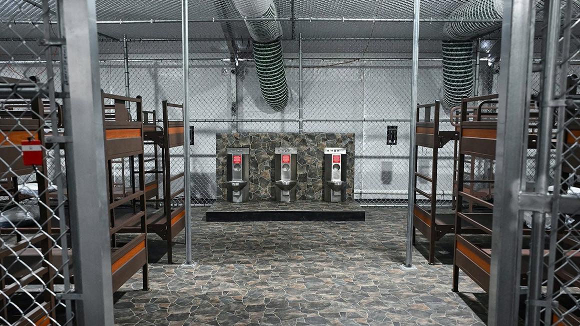 alligatoralcatraz4