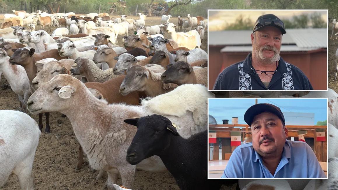 arizona farmer immigration