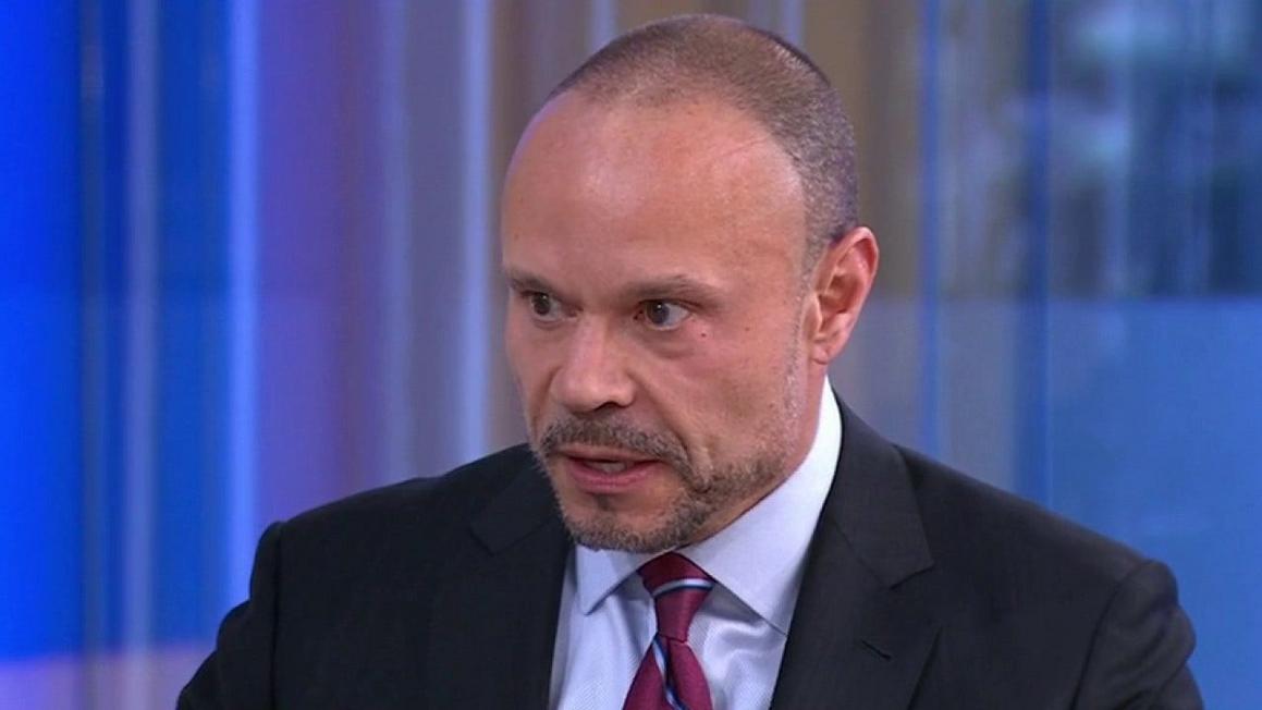 bongino 1