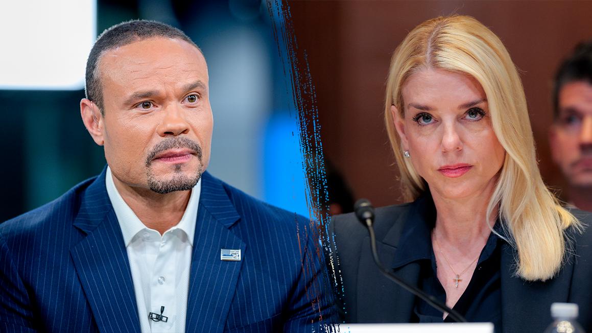 bongino bondi 1
