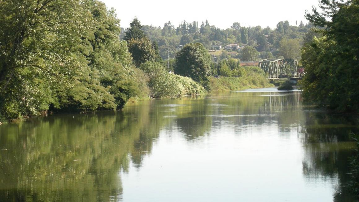 duwamishriver tukwila