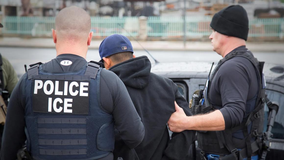 ed263972 ice arrest