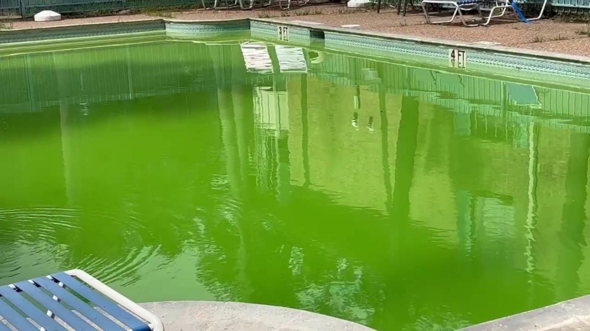 Thanh tra Y tế Houston: Hồ bơi công cộng hiếm khi bị phạt vì điều kiện nguy hiểm