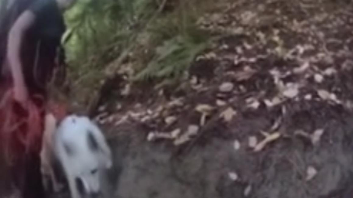 fen and klaudina rescue video