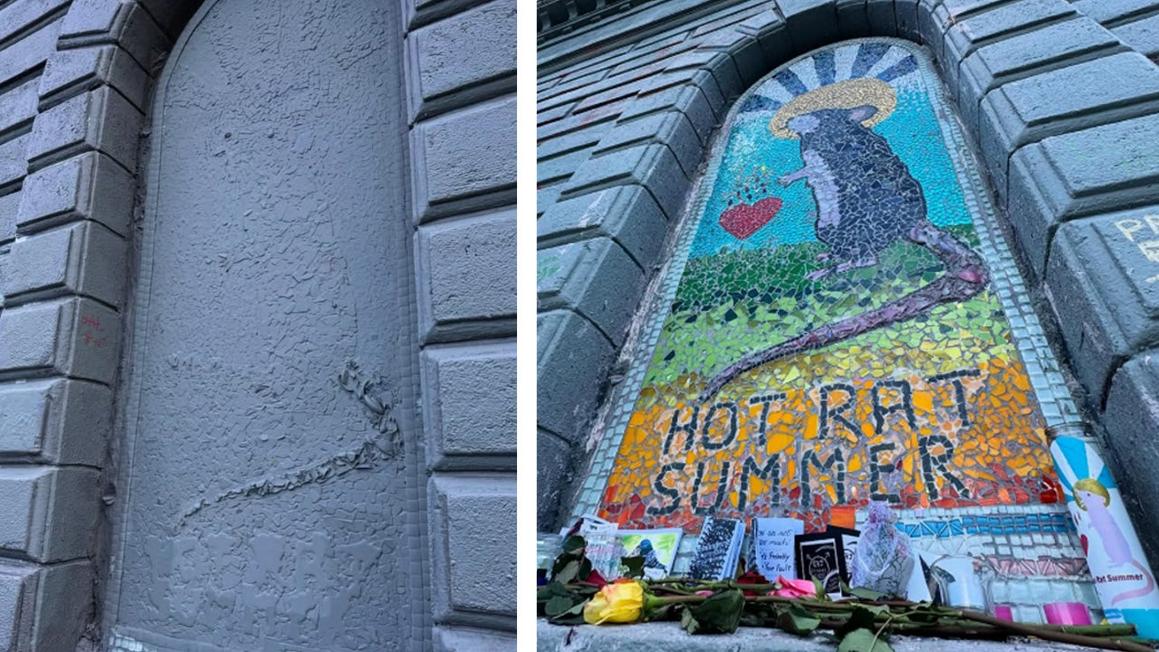 hot rat summer seattle 1