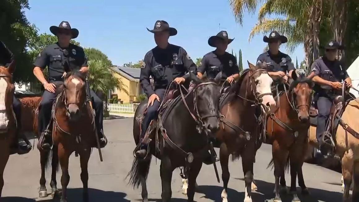 lapd horses 2 72625